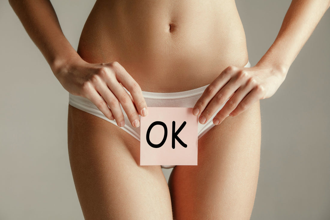 Period Panties: How Does Leak-Proof Period Underwear Work? – Evereve online