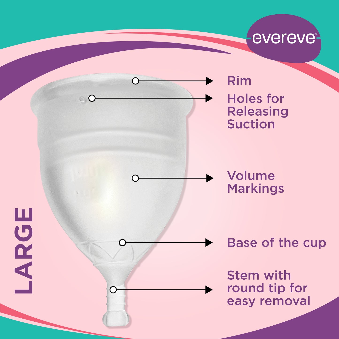 Evereve Menstrual Cup for Women, Large Size, 1 Pc,Transparent